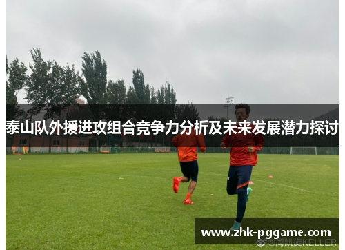 泰山队外援进攻组合竞争力分析及未来发展潜力探讨