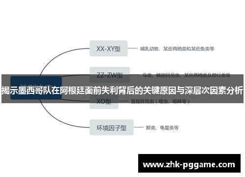 揭示墨西哥队在阿根廷面前失利背后的关键原因与深层次因素分析