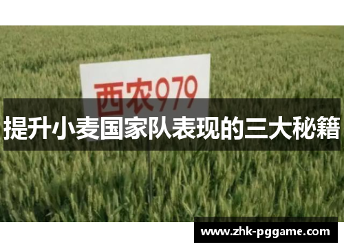 提升小麦国家队表现的三大秘籍